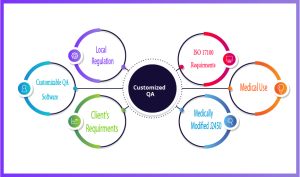 What Is Medical Translation?